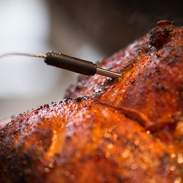 Ψηφιακό Θερμόμετρο Σταθερό με 2 Βελόνες