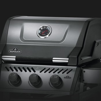 Napoleon Freestyle 365 Graphite - F365PGT-GR