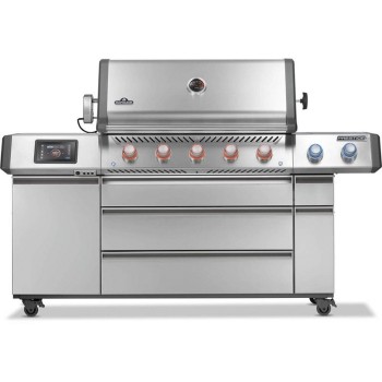 Napoleon Prestige® PRO 665 - PRO665VXRSIBPSS-GR