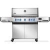 Napoleon Prestige 665 Stainless Steel Connected- P665VXRSIBPSS-GR